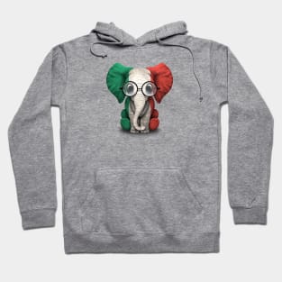 Baby Elephant with Glasses and Italian Flag Hoodie
